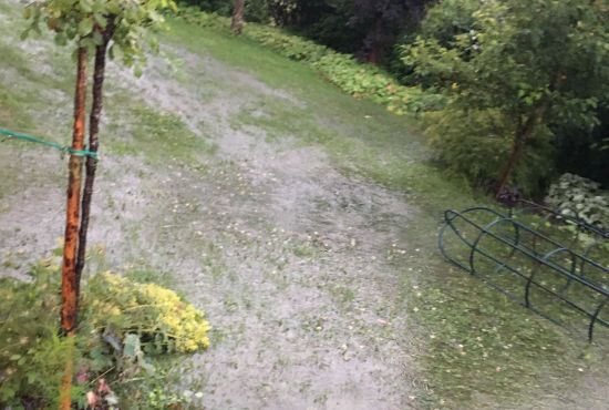 Wasser im Garten