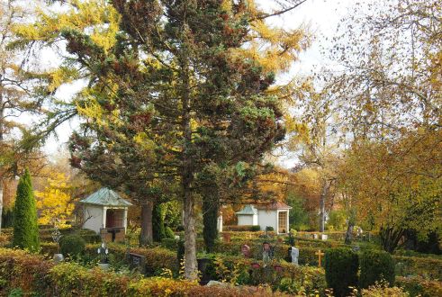 Überblick über den Friedhof