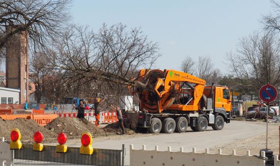 Baum auf LKW