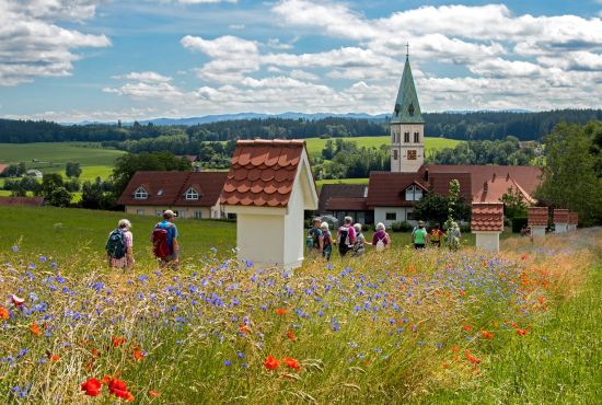 Landschaft bei Merazhofen