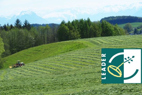 Allgäuer Landschaft