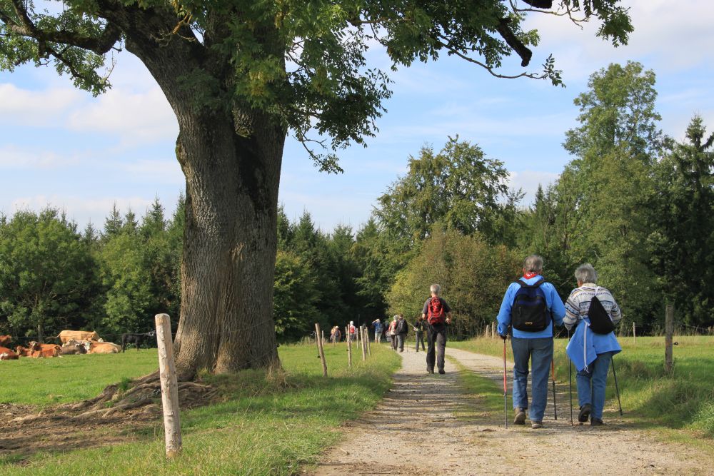 Wandernde Menschen