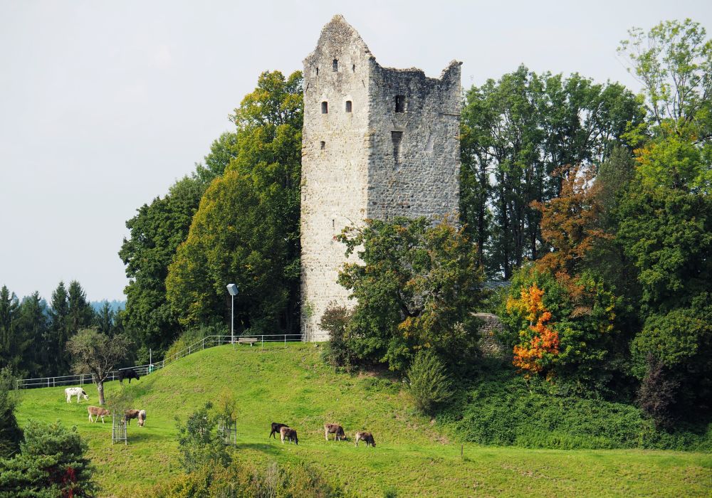 Burgturm Neuravensburg