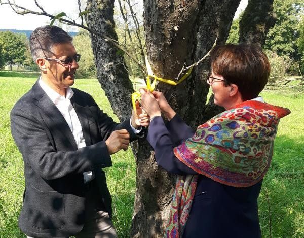 Ein Mann und eine Frau binden ein gelbes Band um einen Baum.