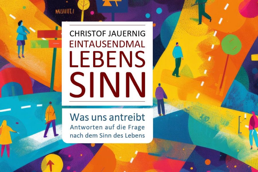 Das Bild zeigt eine bunte, abstrakte Illustration mit stilisierten Figuren, die sich auf verschiedenen Wegen bewegen. In der Mitte steht der Titel "Lebenssinn" in großen, auffälligen Buchstaben, umrahmt von einem Rahmen. Der Untertitel thematisiert die Suche nach dem Sinn des Lebens.