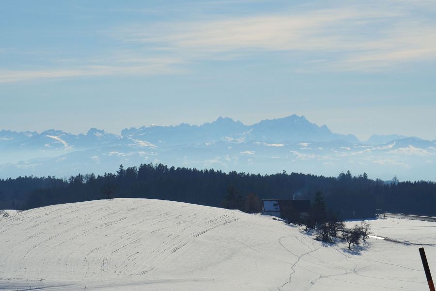 Winterlicher Panoramablick mit den Alpen im Hintergrund und Bergen und Wäldern im Vordergrund
