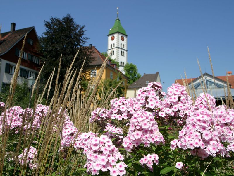 Blühende Blumen im Vordergrund und im Hintergrund ist der Kirchturm der St. Martinskirche zu sehen