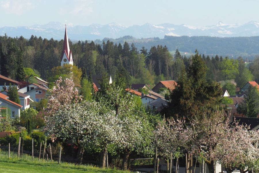 Blick auf einen Obstbaumgarten sowie die Deuchelrieder Dächer im Hintergrund