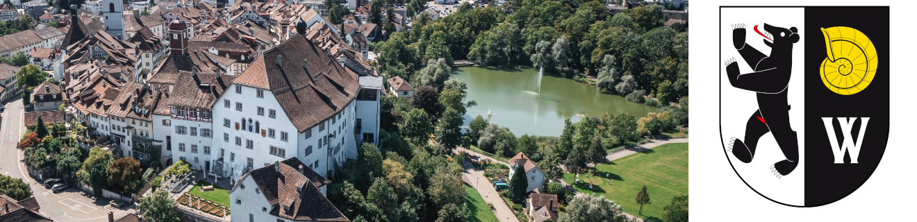 Luftaufnahme einer historischen Stadt mit vielen alten Gebäuden und einem klaren Teich in der Mitte. Rechts befindet sich das Wappen der Stadt, das einen Bären und eine Muschel zeigt. Die Umgebung ist grün mit Bäumen und einem öffentlichen Parkbereich.