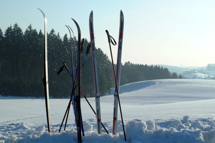Mehrere Langlaufski und Langlaufstöcke stecken vor einer schneebedeckten Wiese im Schnee Bild