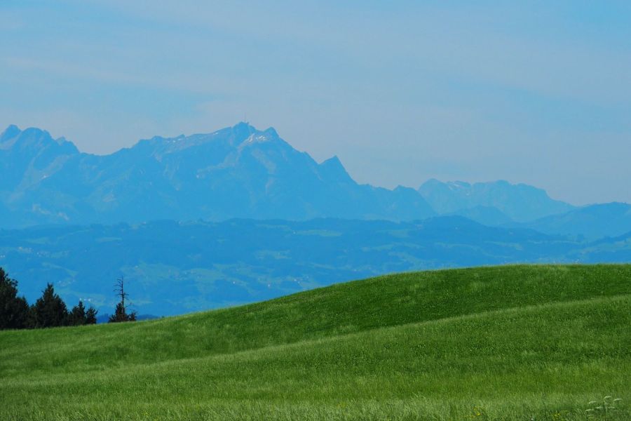 Hügelige Wiese im Vordergrund und im Hintergrund ist ein Alpenpanorama zu sehen Bild