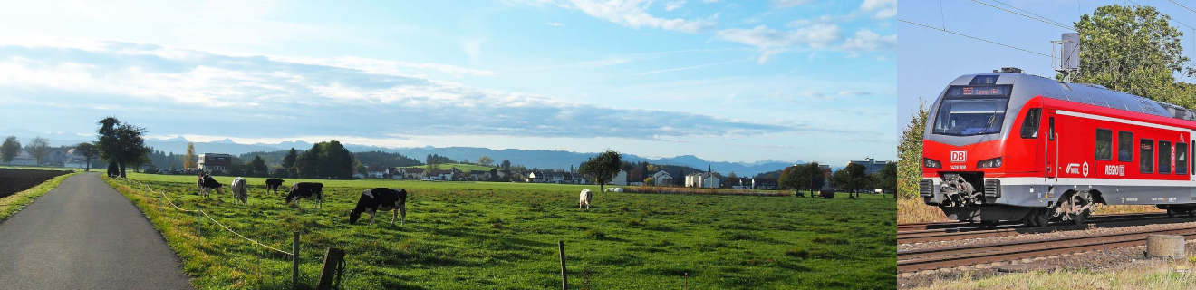 Collage, in der links eine Kuhweide mit Rindern darauf und einer Straße daneben zu sehen ist und rechts ein Zug auf einem Bahngleis