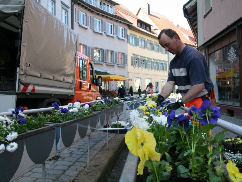 Ein Bauhofmitarbeiter pflegt die Blumen in der Altstadt Bild