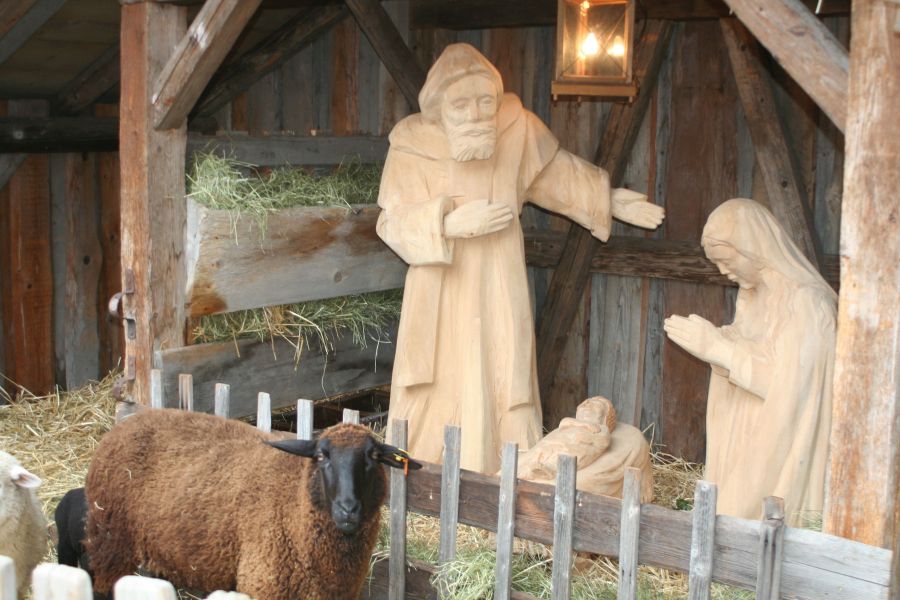 Krippe mit aus Holz geschnitzten Figuren eines Christkinds sowie Maria und Josef. Davor steht ein echtes Schaf