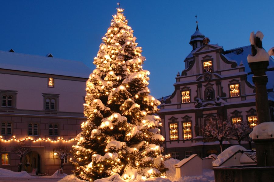 Großer, beleuchteter und mit Schnee bedeckter Tannenbaum auf dem Marktplatz