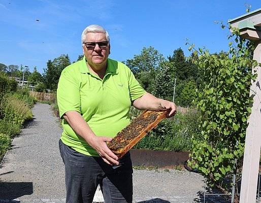 Ein Mann hält eine Wabe mit vielen Bienen.