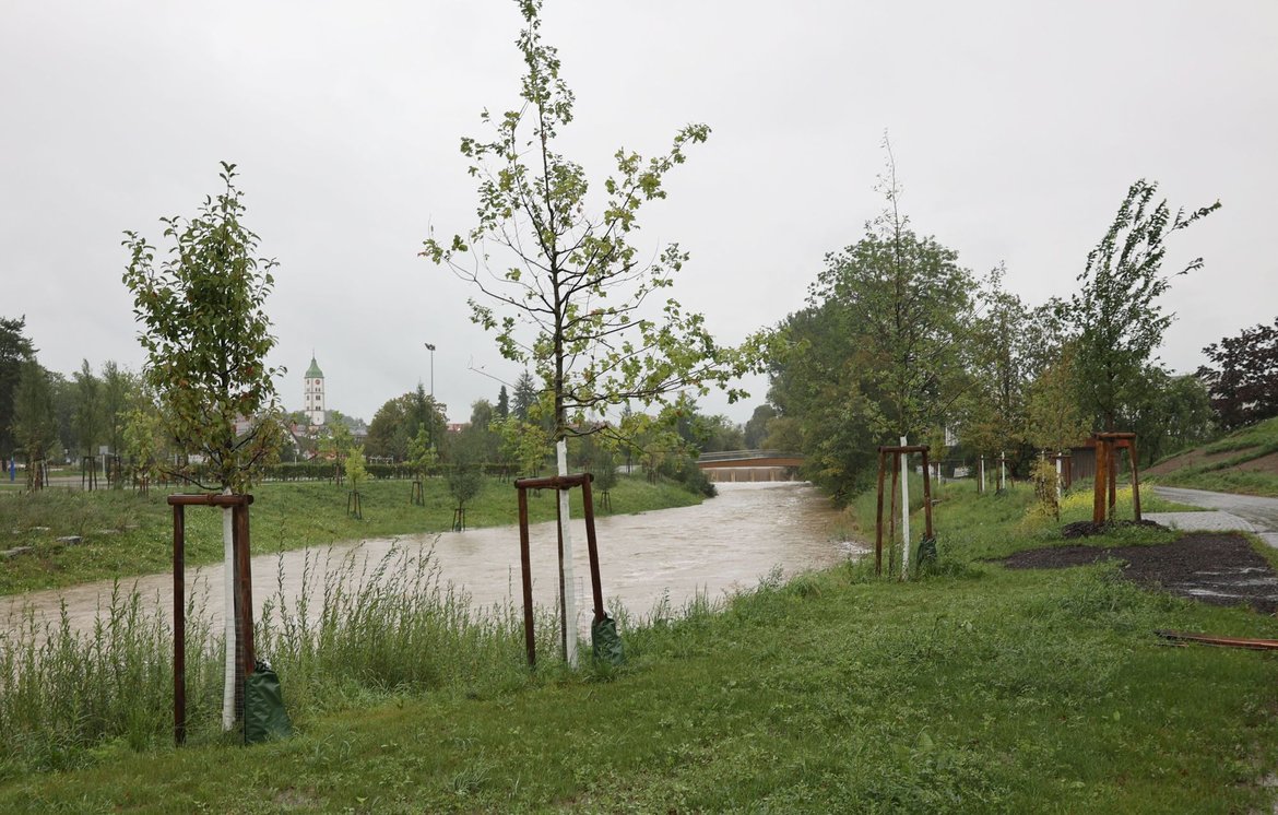 Viele Wasser in der Oberen Argen beim Sportpark