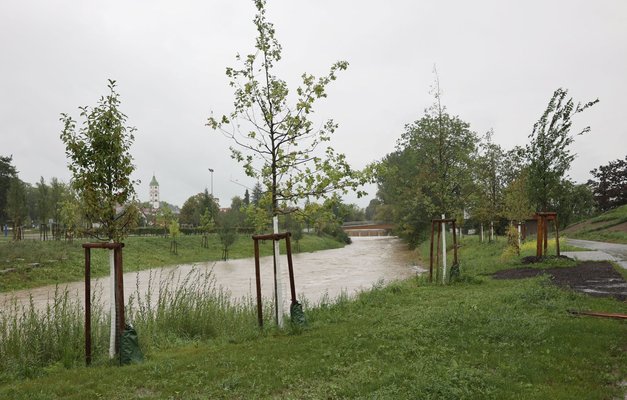 Viele Wasser in der Oberen Argen beim Sportpark