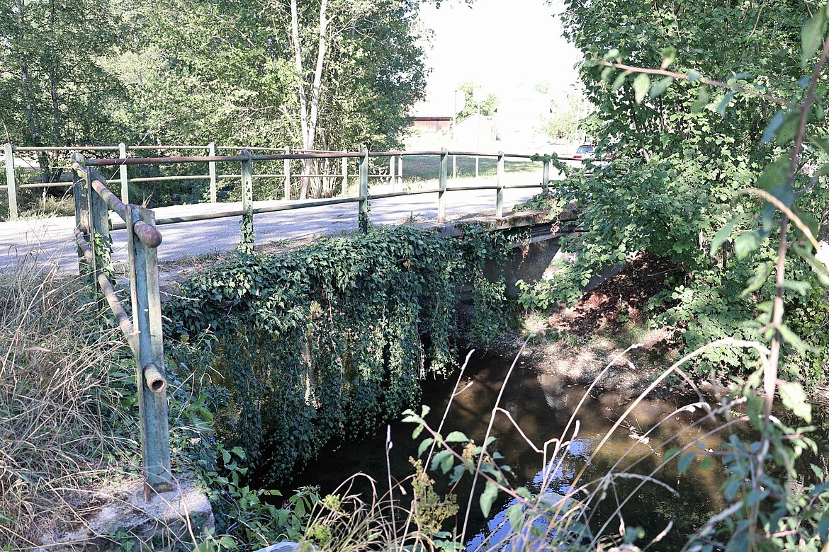 Eine alte Brücke mit einem leicht verrosteten Geländer überquert einen kleinen Wasserlauf. Die Brücke ist von dichtem, grünem Laub umgeben, und im Hintergrund sind Bäume und ein Schemen eines Gebäudes zu erkennen.