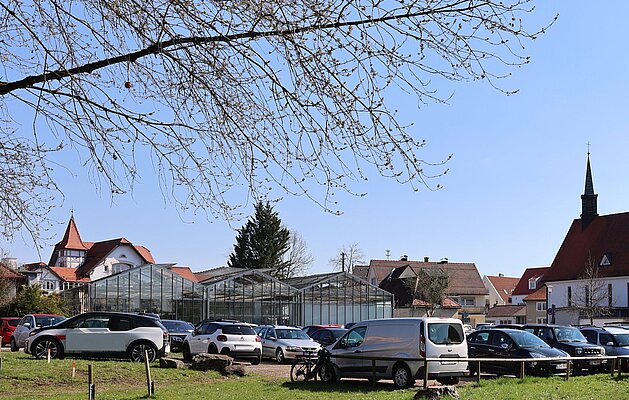 Autos auf provisorischem Parkplatz