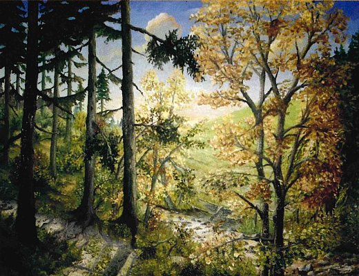 Neue Ausstellung in der Stadtbücherei