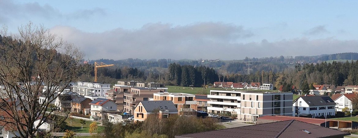Baugebiet Haid Wittwais von der Weite.