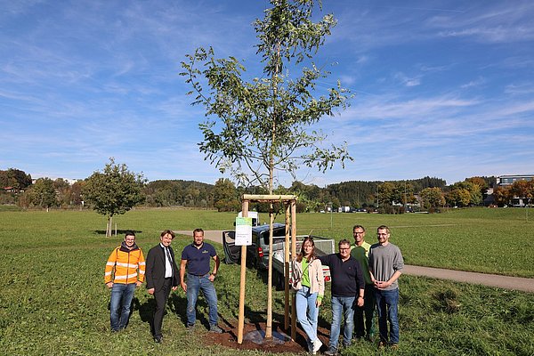 Mehrere Personen stehen links und rechts neben einem neu gepflanzten Baum.