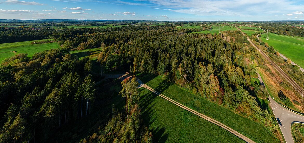 Landschaft im Grünen mit Wäldern und Feldern, aus der Vogelperspektive fotografiert. Im Vordergrund sind Wege und eine Straße sichtbar, während im Hintergrund eine weitläufige Landschaft mit Bäumen und Himmel zu erkennen ist.