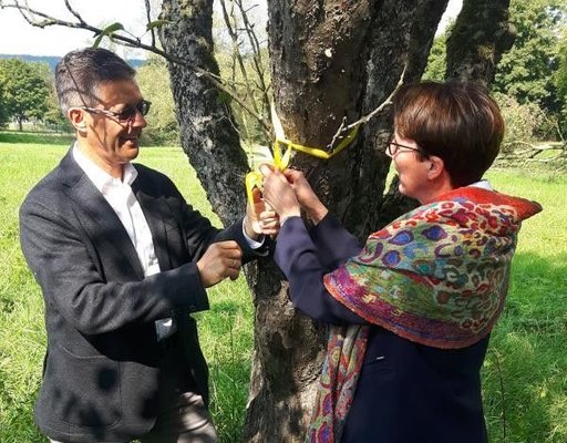 Ein Mann und eine Frau binden ein gelbes Band um einen Baum.
