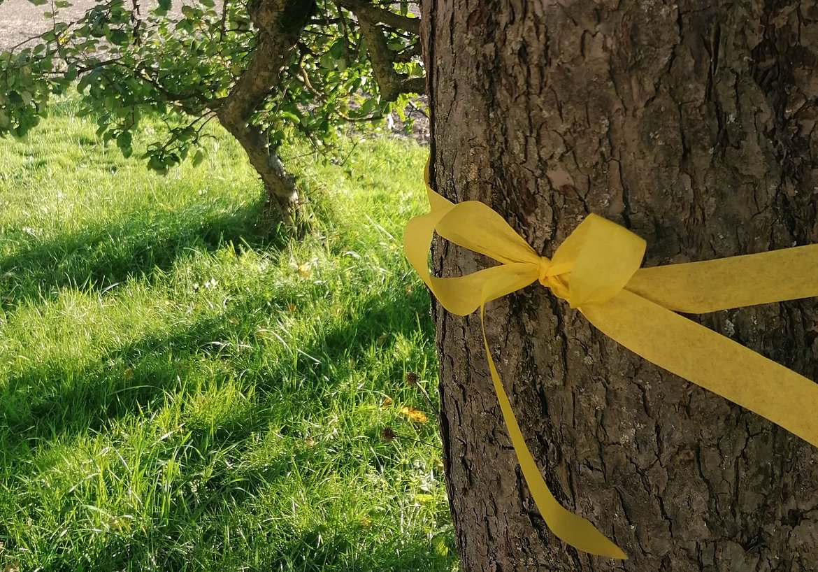 Ein Baumstamm mit einem gelben Band, das darum gewickelt und zu einer Schleife gebunden ist. Im Hintergrund ist eine grüne Wiese mit Schatten von Bäumen sichtbar.