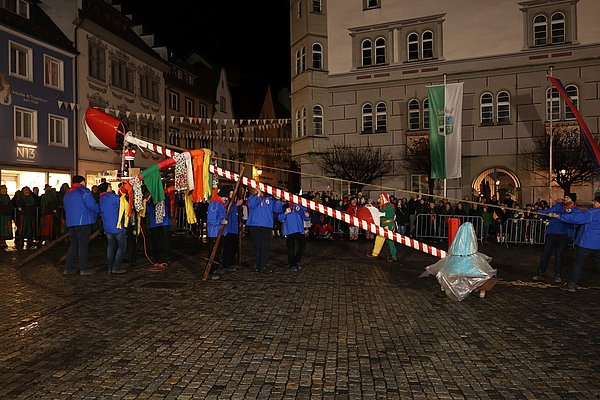 Männer bringen mit Holzstützen den Narrenbaum von der Waagrechten in die Senkrechte