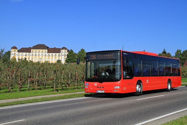 Bus und Schloss Tettnang