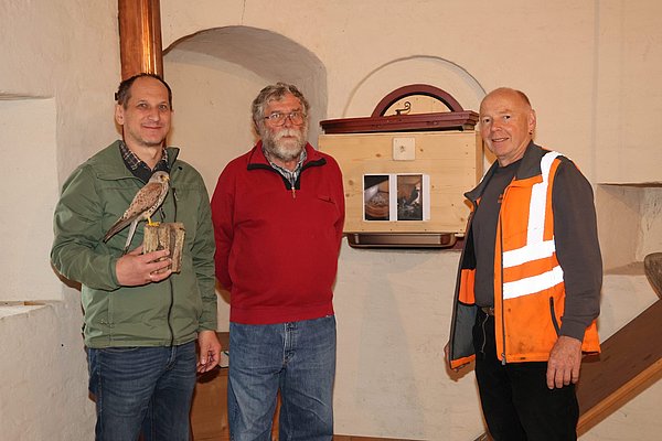Drei Männer vor einem Brutkasten aus Holz. Einer hält einen ausgestopften Turmfalken in der Hand.