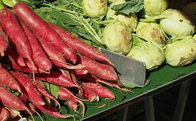 Rettich und Kohlrabi