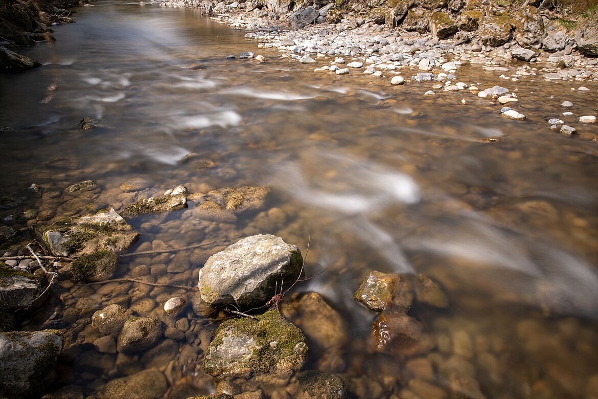 Steine und Wasser in der Argen