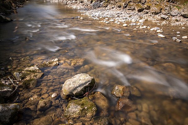 Steine und Wasser in der Argen