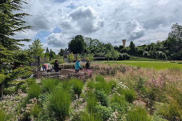 Ehrenamtliche Helferinnen und Helfer bepflanzen ein einem Park ein Blumenbeet. Im Hintergrund ist der Aussichtsturm zu sehen.