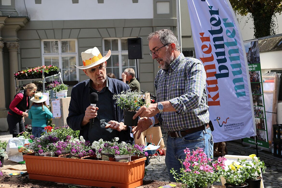 Zwei Männer pflanzen einen Blumenkasten an