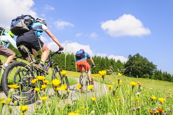 Sportliche Radfahrer fahren durch Wiesen