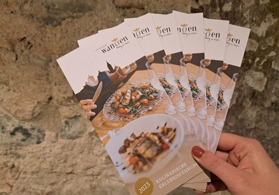 In einer Hand aufgefächerte Flyer