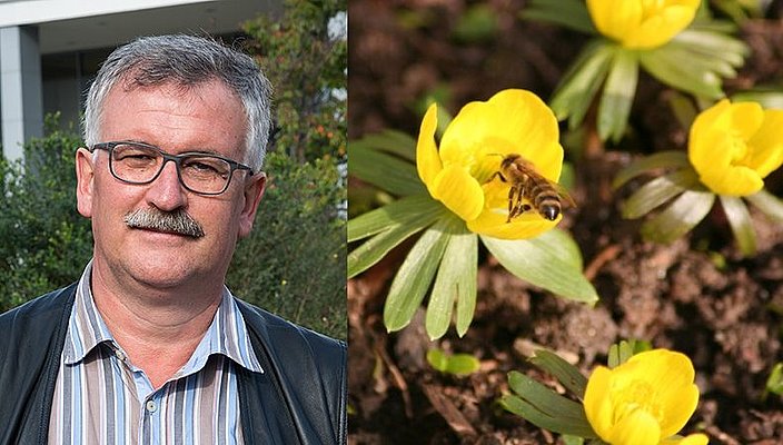 Zwei Bilder: Porträt von einem Mann und eine Blume mit Biene.